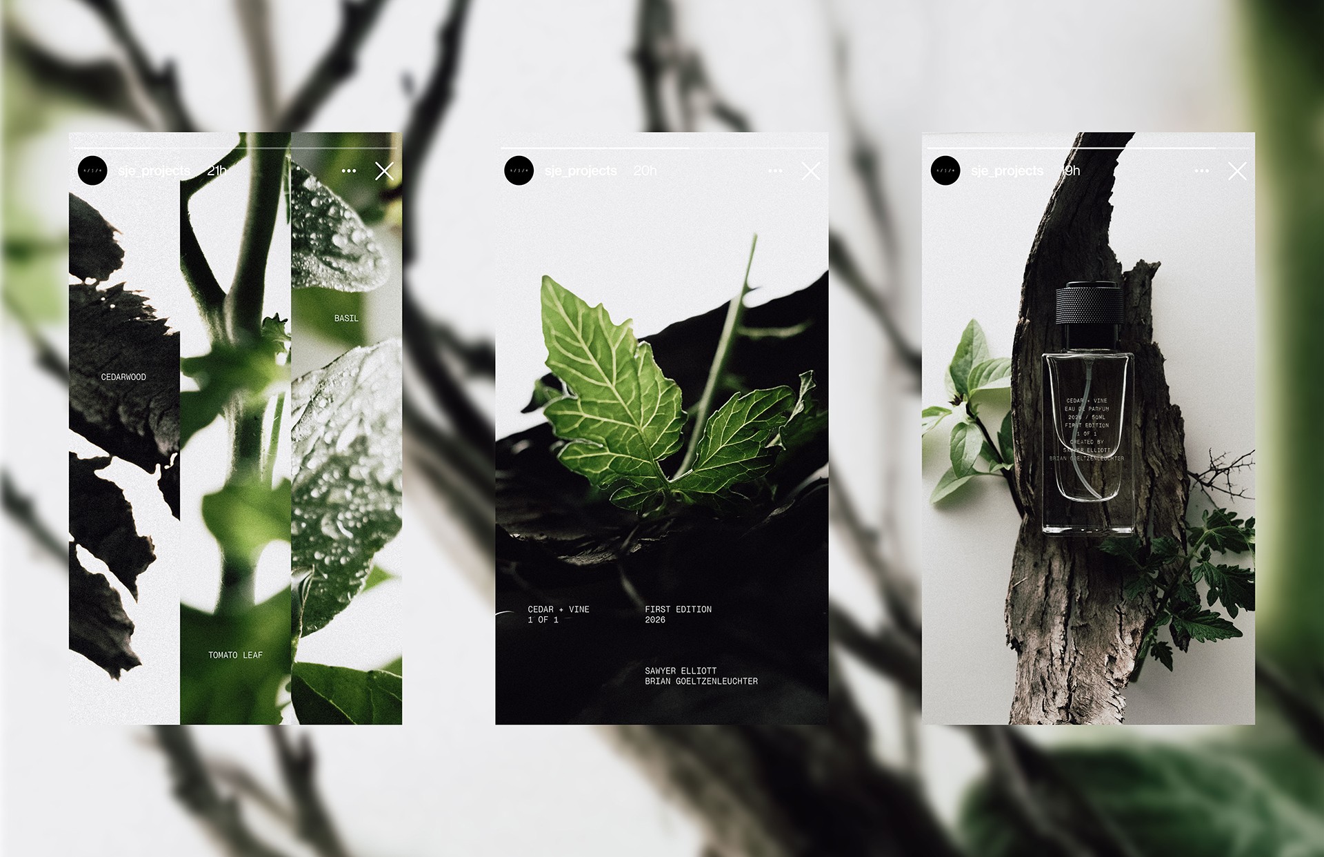 Cedar + Vine Instagram story mockups featuring plant details and the product bottle